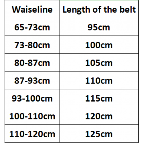 CELIN* BELT-GOLD/SILVER